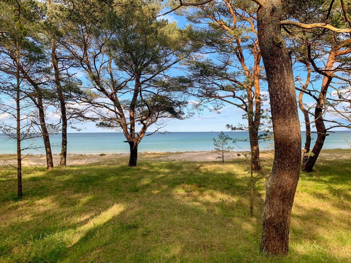 Dünenpark Binz - WG 40 Strandgut Exterior foto